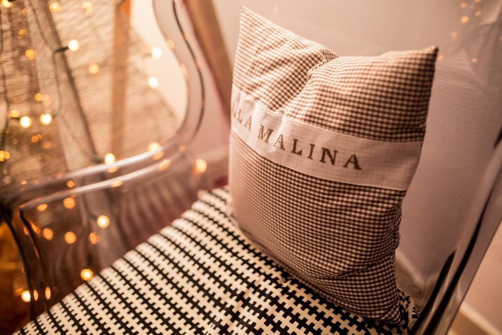 Villa Malina 奥什恰德尼察 外观 照片